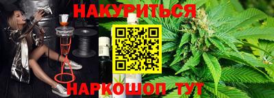 стафф Кингисепп