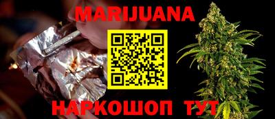 стафф Кингисепп