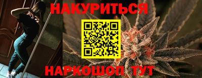стафф Кингисепп