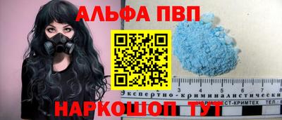 стафф Кингисепп